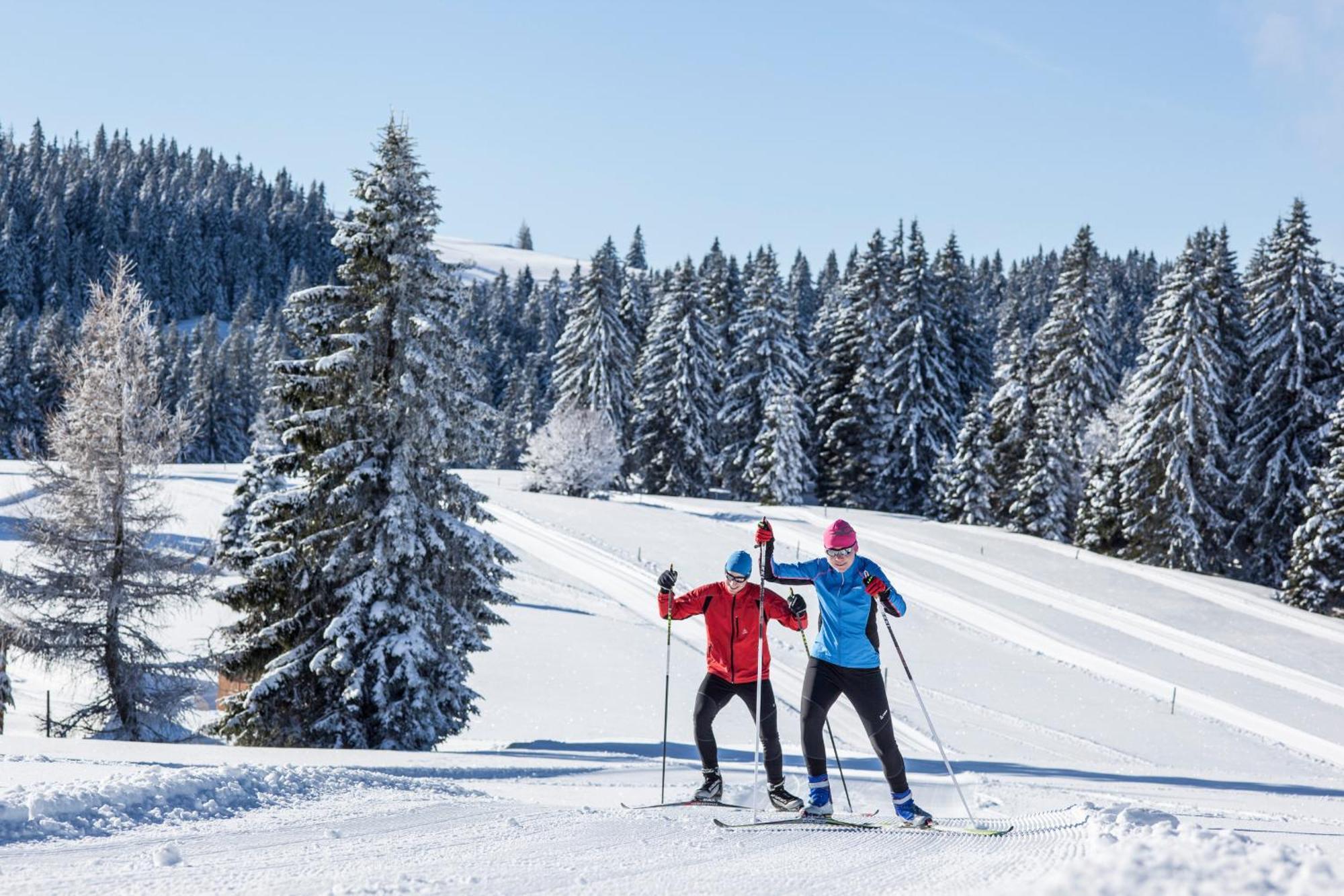 Ferienwohnung Schneelehner, 2-Schlafzimmer, Feldberg Фелдберг Екстериор снимка