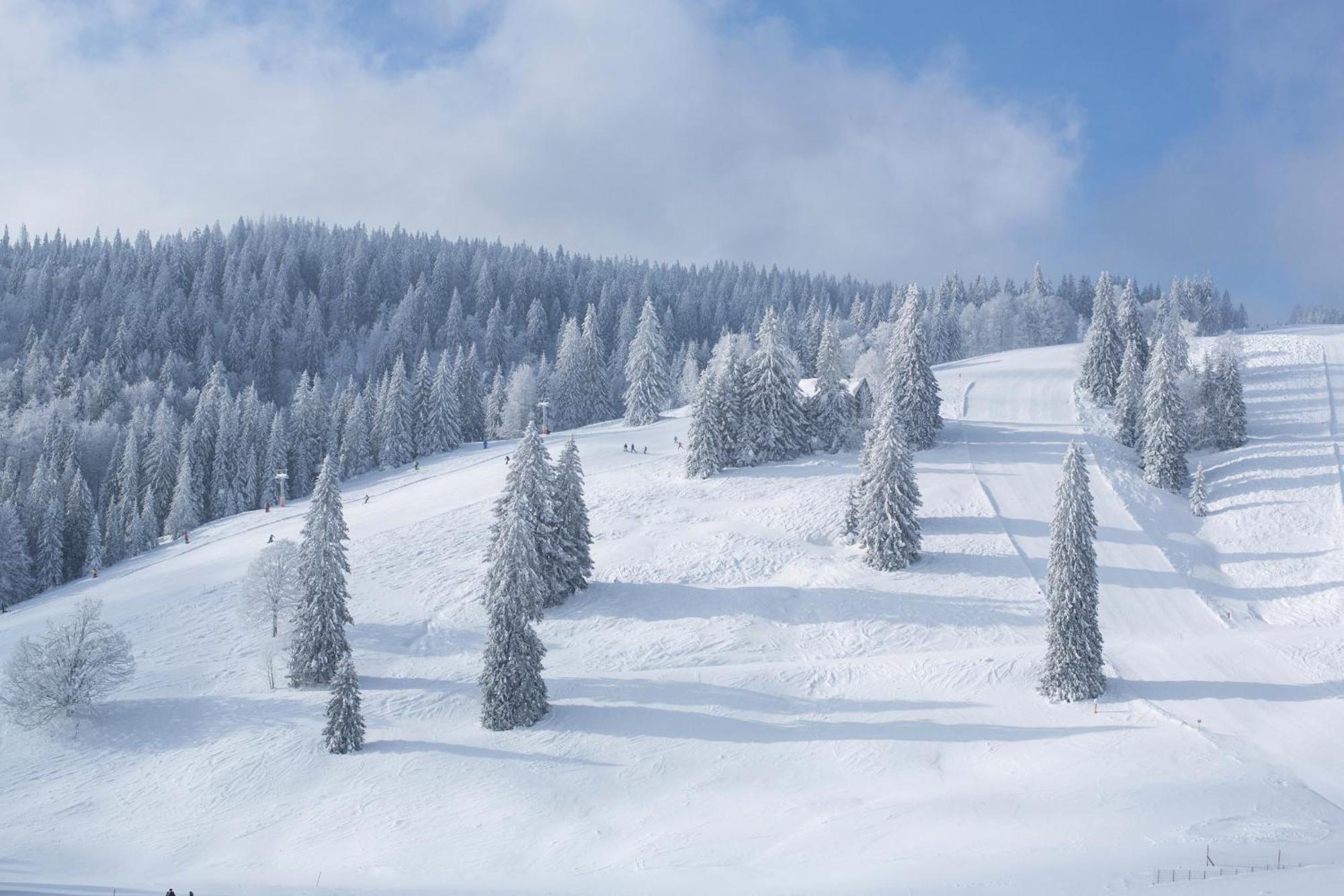Ferienwohnung Schneelehner, 2-Schlafzimmer, Feldberg Фелдберг Екстериор снимка